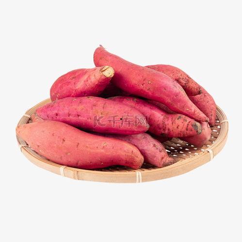 红薯资料,营养丰富的健康食品，传统与现代的完美结合