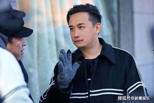 邂逅 黄磊 背景,探寻著名演员的演艺人生与生活感悟